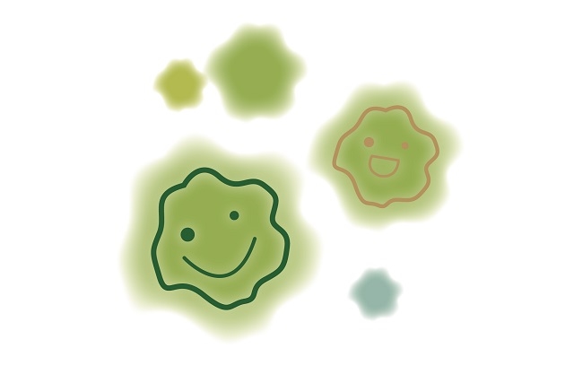 アレルギーの原因となるカビ